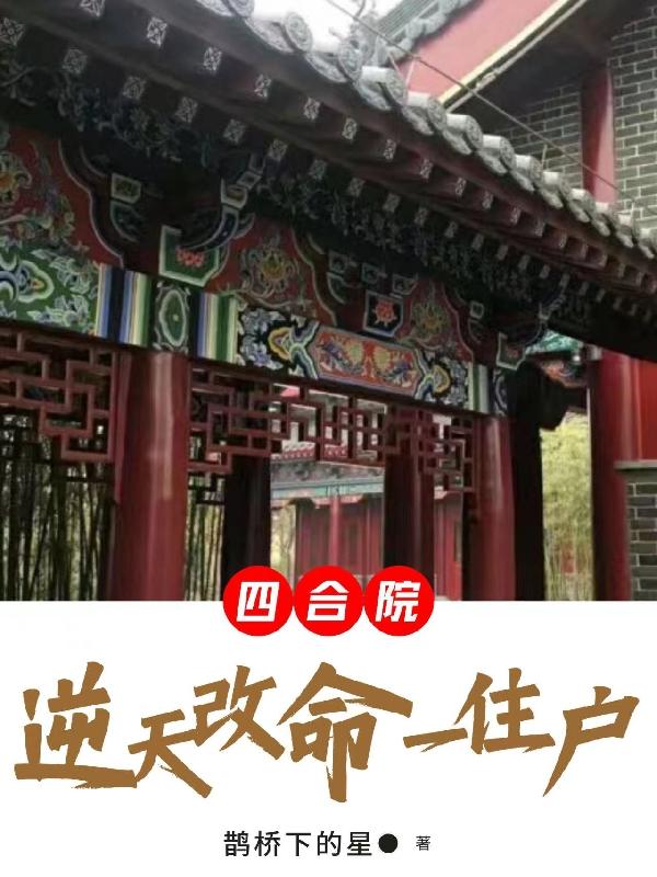 四合院改写的小说